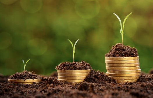 Properties and Financial Affairs Attorney